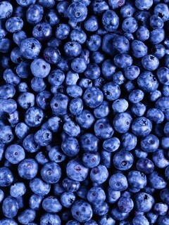 Черника обои