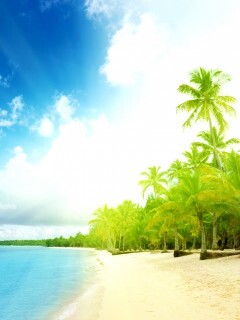 Тропическое побережье обои