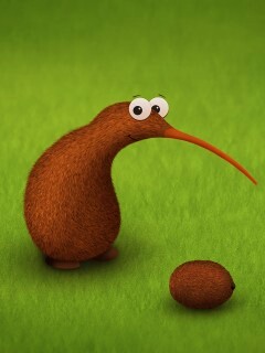 Киви и киви обои