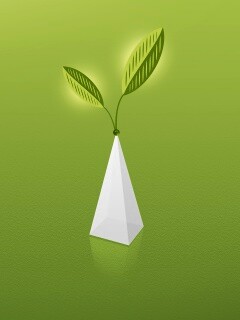 Пирамида и листик обои