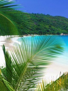 Лазурная лагуна обои