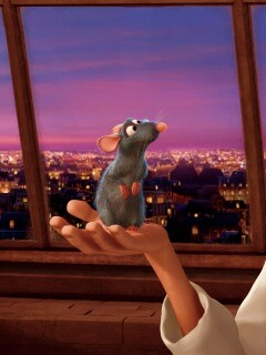 Рататуй на ладони обои