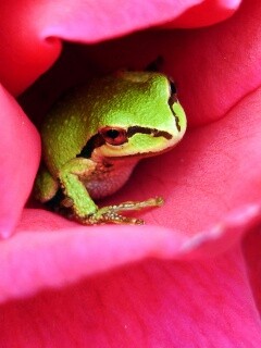 Куда это ты смотришь? обои