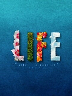 Жизнь, она продолжается... обои