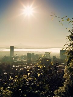 Утро в раю обои