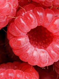 Малина обои