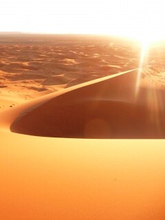 Солнечная пустыня обои