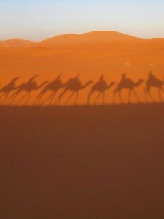 Караван обои