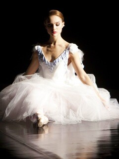 Черный лебедь обои