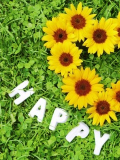 Радость обои