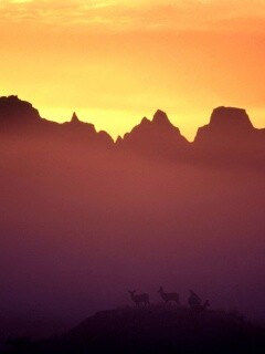 Вечер в национальном парке обои