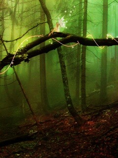 Лесные феи обои