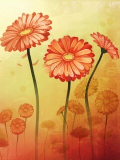 Векторные ромашки обои