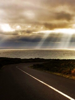 Дорога обои