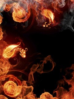 Огненные цветы обои