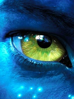 Смотрит прямо в душу обои