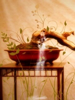 Карликовое дерево обои