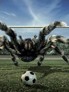 Вратарь обои