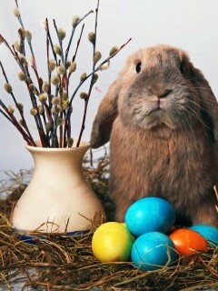 Пасхальный кролик обои