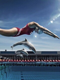 Соревнование обои