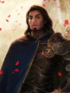 Рыцарь обои