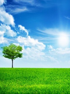 Один в целом мире обои