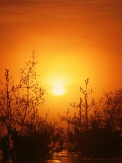 Доисторическое утро обои