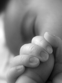 Младенец держит палец обои