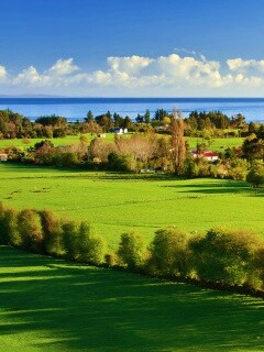 Сельская природа обои