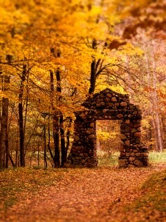 Каменная арка в осеннем лесу обои