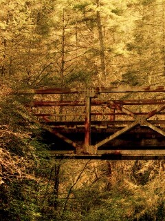 Металлический мост в лесной глуши обои