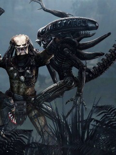 Чужой против Хищника обои