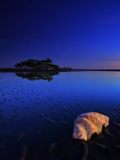 Закат на берегу моря обои