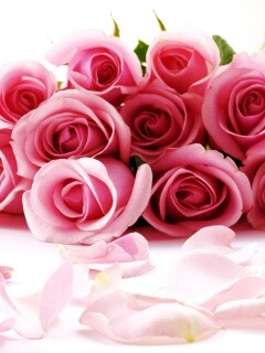 Букет роз обои