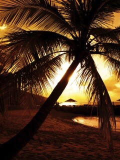 Пляж на закате обои