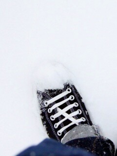 Дурак зимой в кедах обои