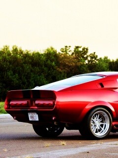 Shelby GT500 CR обои