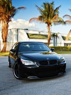 Две БМВ обои