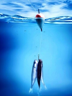 На крючке обои