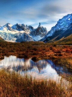 Болота на фоне гор обои