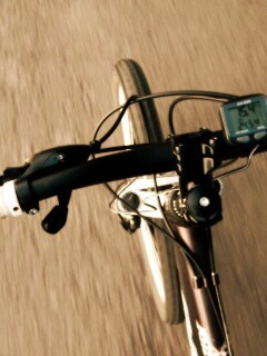 Катание на велосипеде обои