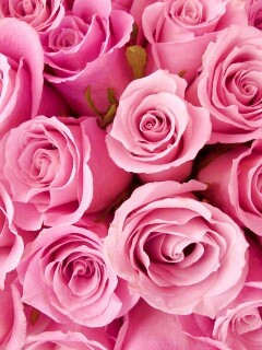 Букет роз обои