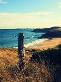 Пляж на озере обои