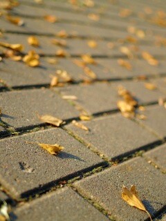 Тротуар обои