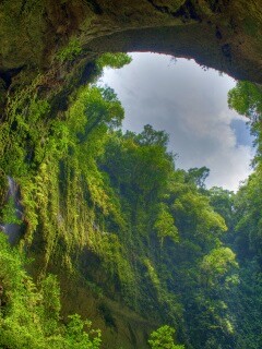 Заросшее ущелье обои