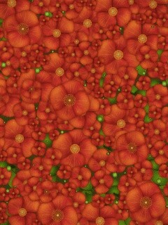 Рисунко с красными цветами обои