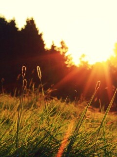 Красота природы обои