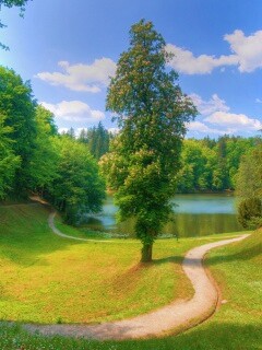 Прекрасная природа обои