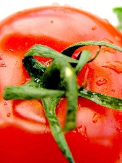 Свежая помидорка обои