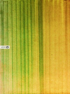 Обои для Apple обои